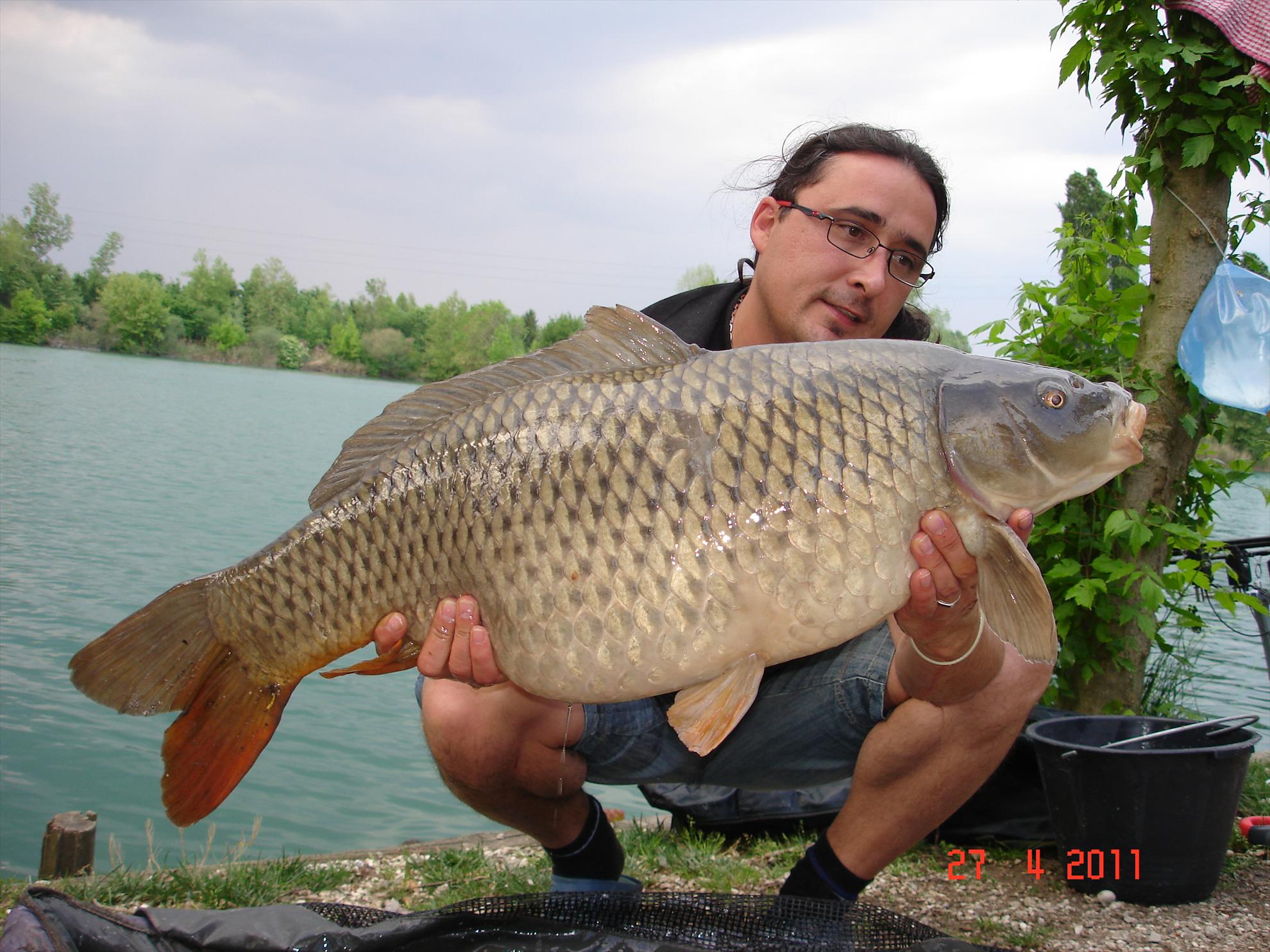 THE BIGS OF 2011 - p1000089.JPG